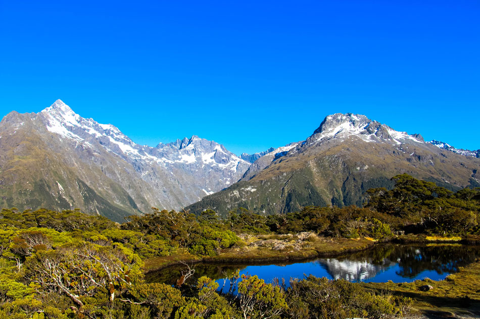 Südinsel Neuseeland – Ipackedmybackpack.de Reiseblog