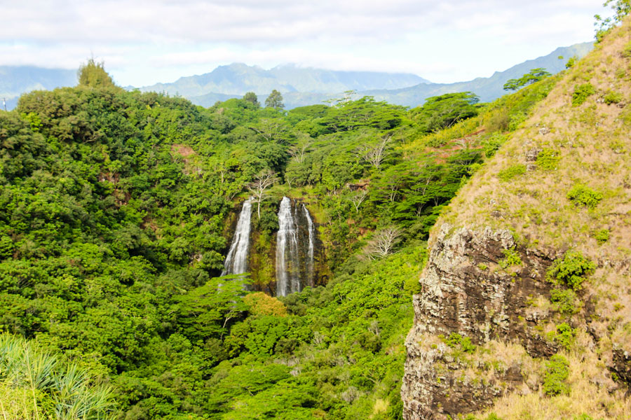 Opaekaa Falls - Kauai - Hawaii