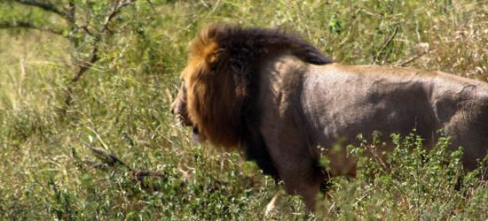 Südafrika