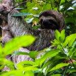 Manuel Antonio National Park - Costa Rica