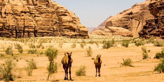 Wadi Rum - Jordanien - Reiseblog Ipackedmybackpack.de