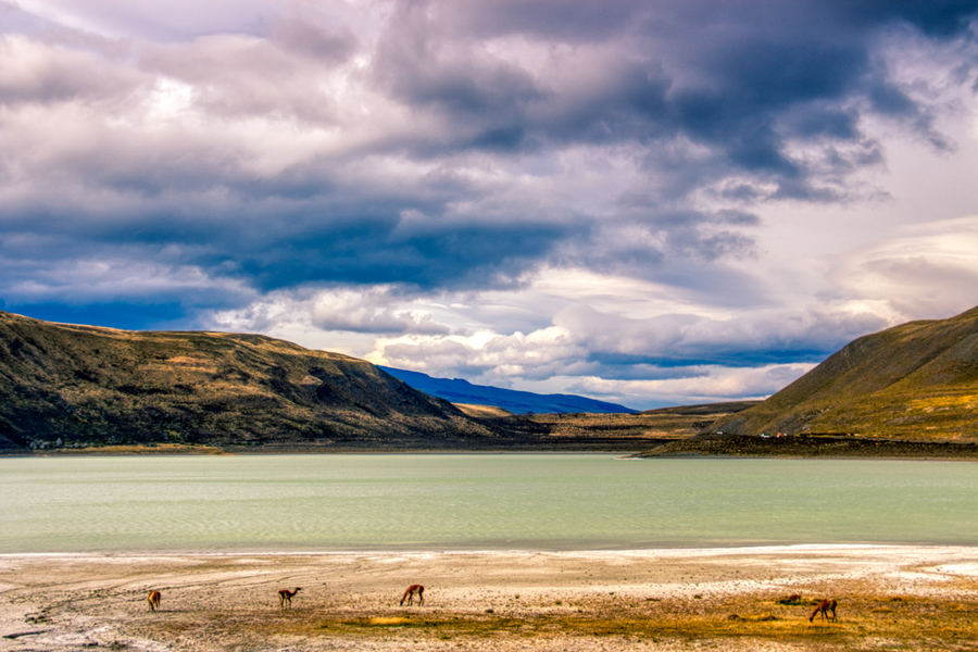 Patagonien - Chile - ipackedmybackpack.de - Reiseblog