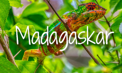 Reiseziele Madagaskar