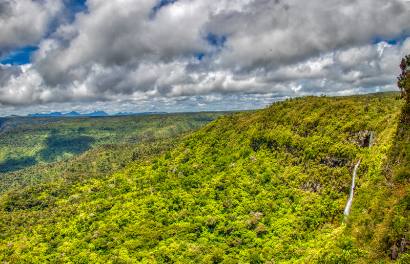 Black River Gorges Nationalpark - Mauritius - ipackedmybackpack.de - Reiseblog