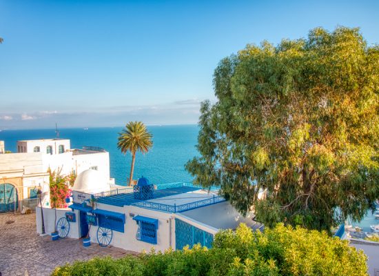 Sidi Bou Saïd - Tunesien - ipackedmybackpack.de - Reiseblog