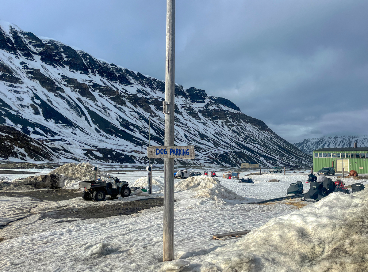 Longyearbyen -Spitzbergen Svalbard - ipackedmybackpack.de - Reiseblog