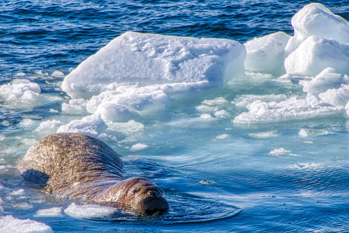 Barentsburg -Spitzbergen Svalbard - ipackedmybackpack.de - Reiseblog