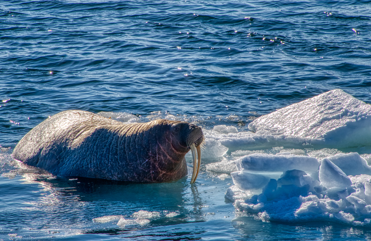 Barentsburg -Spitzbergen Svalbard - ipackedmybackpack.de - Reiseblog