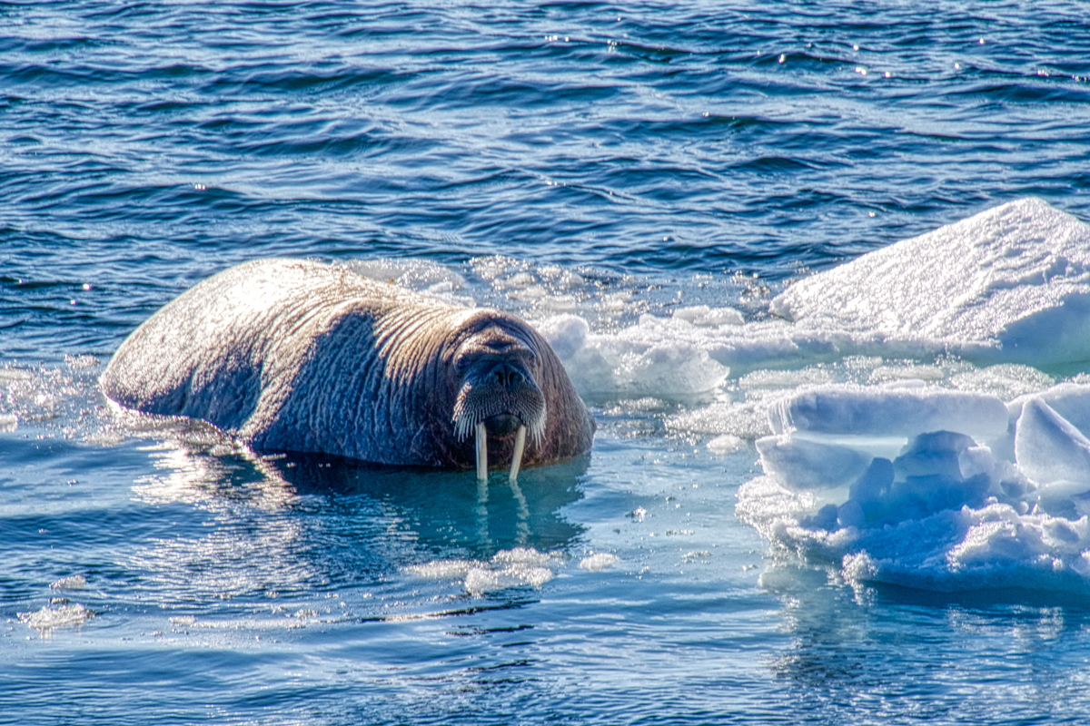 Barentsburg -Spitzbergen Svalbard - ipackedmybackpack.de - Reiseblog