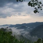 Uganda - ipackedmybackpack.de - Reiseblog