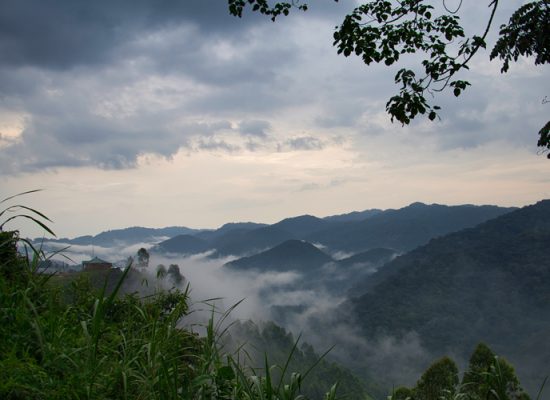 Uganda - ipackedmybackpack.de - Reiseblog