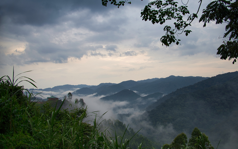 Von Kigali zum Gorilla Trekking in Uganda