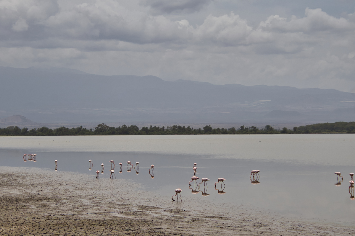 Amboseli - Kenia - ipackedmybackpack.de - Reiseblog