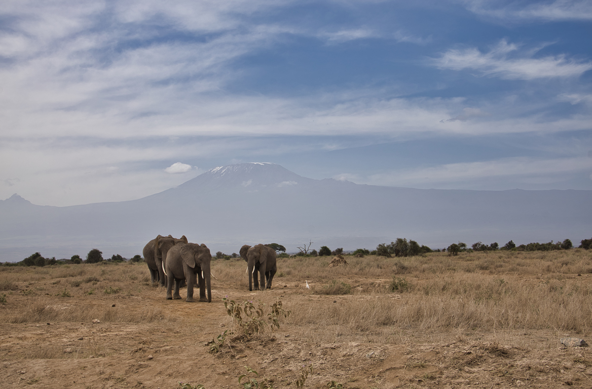 Amboseli - Kenia - ipackedmybackpack.de - Reiseblog