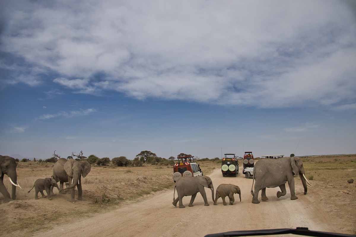 Amboseli - Kenia - ipackedmybackpack.de - Reiseblog