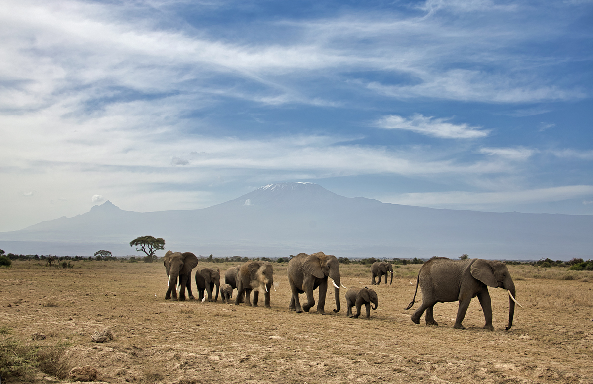 Amboseli - Kenia - ipackedmybackpack.de - Reiseblog