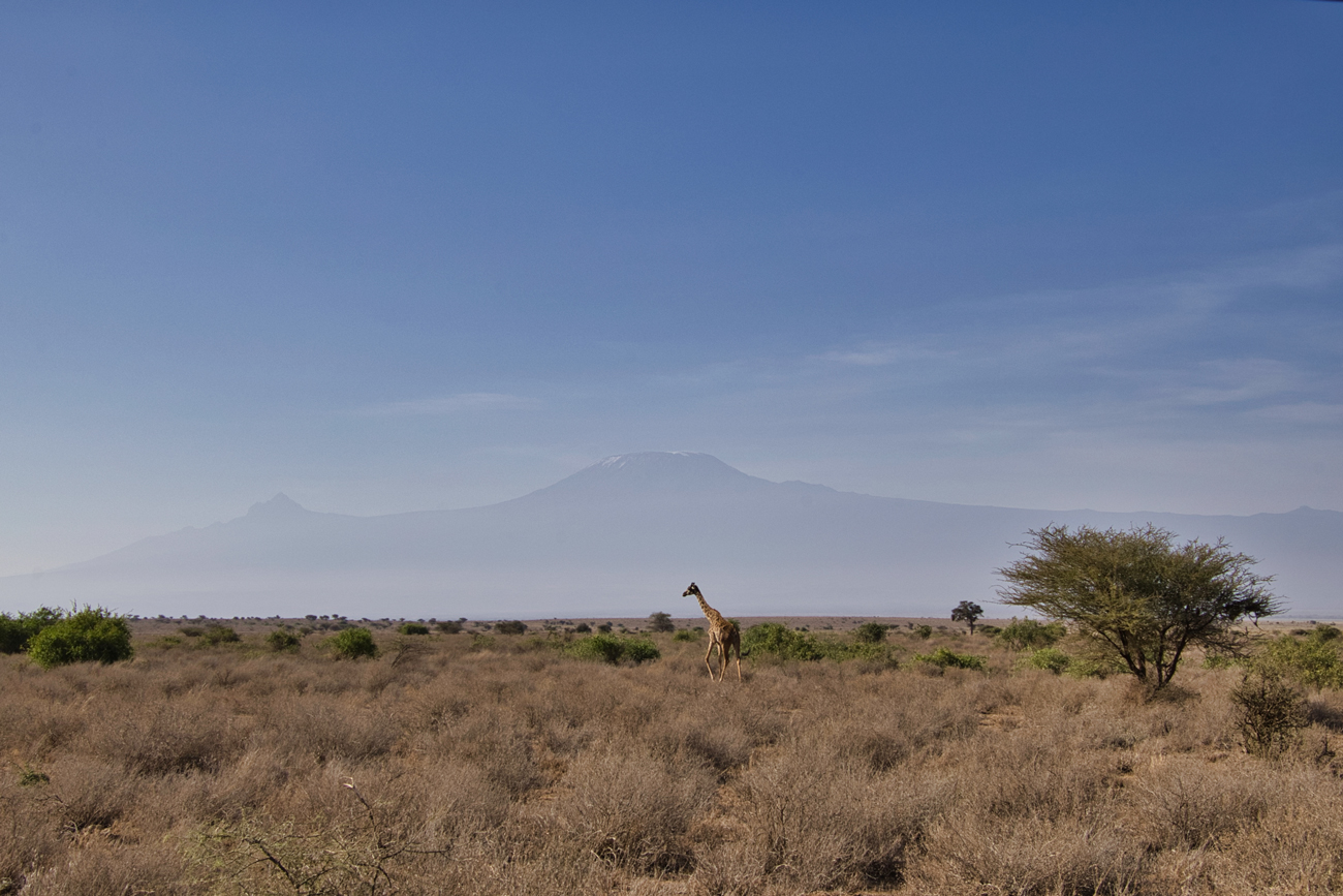 Amboseli - Kenia - ipackedmybackpack.de - Reiseblog