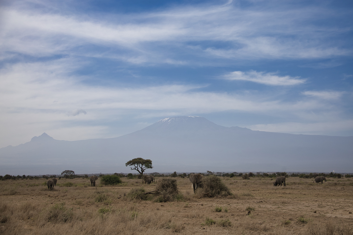 Amboseli - Kenia - ipackedmybackpack.de - Reiseblog