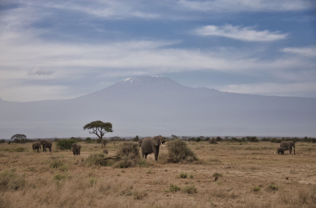 Amboseli - Kenia - ipackedmybackpack.de - Reiseblog