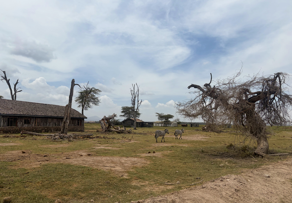 Amboseli - Kenia - ipackedmybackpack.de - Reiseblog