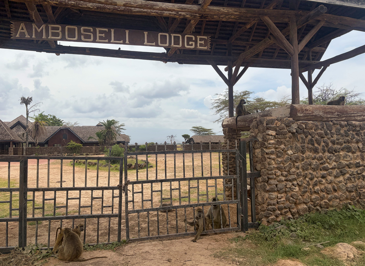Amboseli - Kenia - ipackedmybackpack.de - Reiseblog