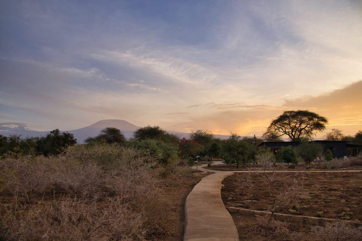 Amboseli - Kenia - ipackedmybackpack.de - Reiseblog