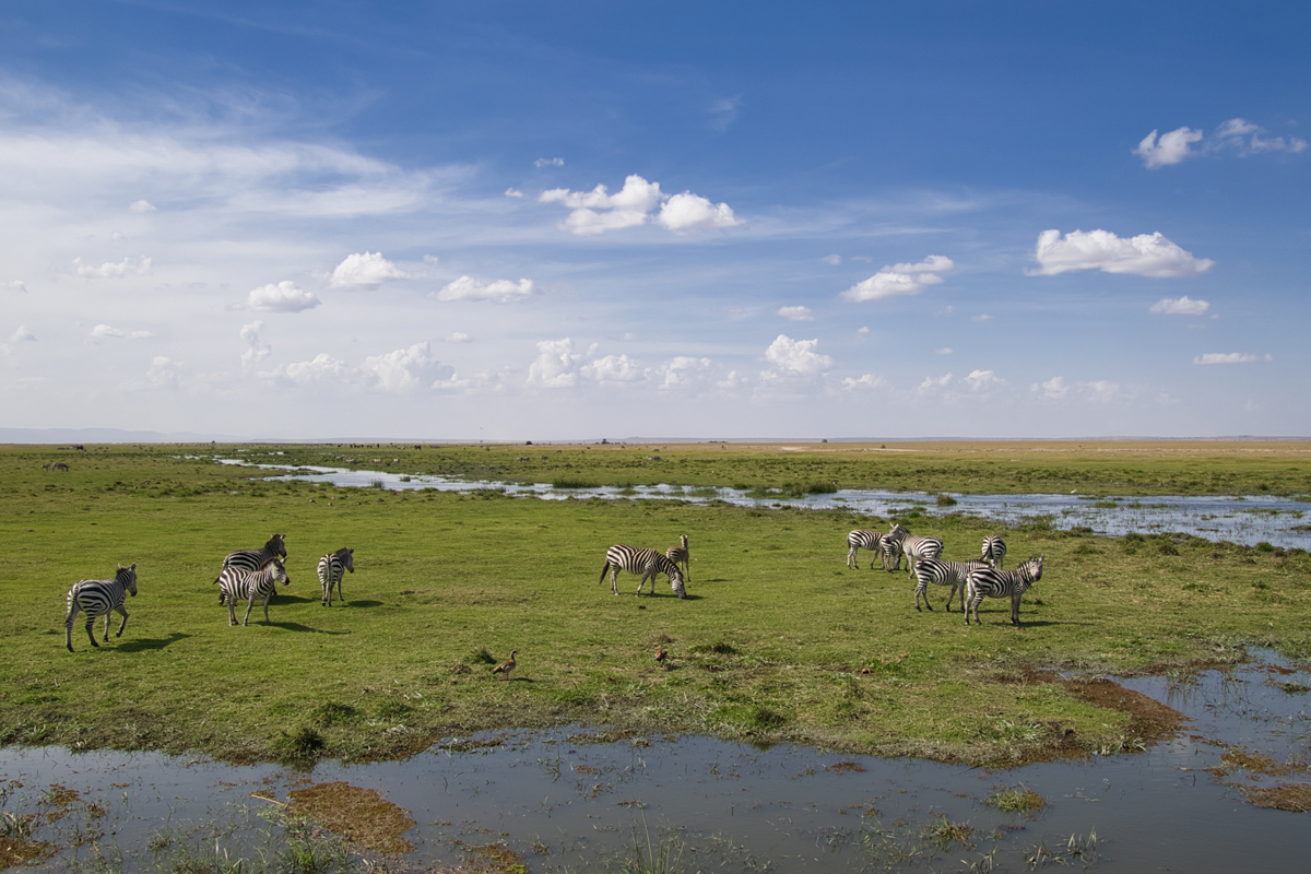 Amboseli - Kenia - ipackedmybackpack.de - Reiseblog