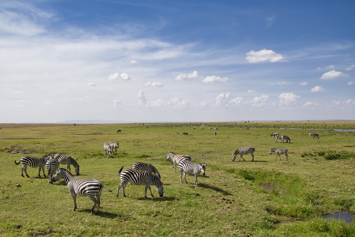 Amboseli - Kenia - ipackedmybackpack.de - Reiseblog