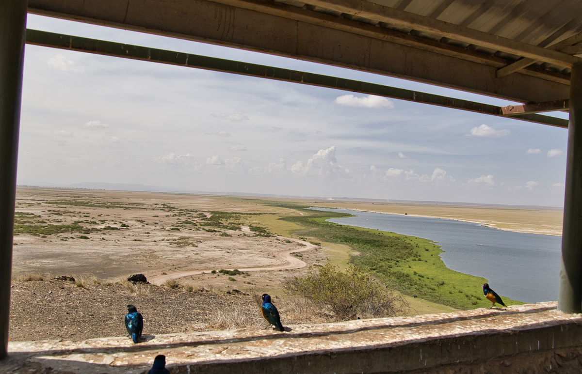 Amboseli - Kenia - ipackedmybackpack.de - Reiseblog
