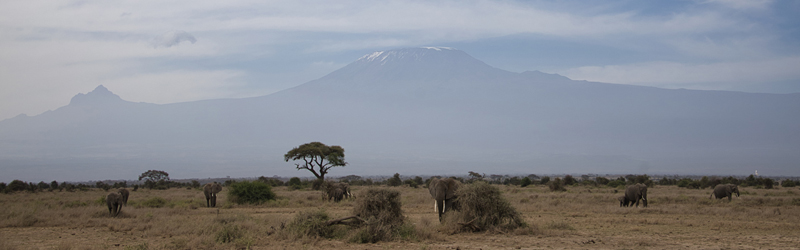 Amboseli - Kenia - ipackedmybackpack.de - Reiseblog
