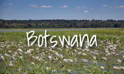 Botswana