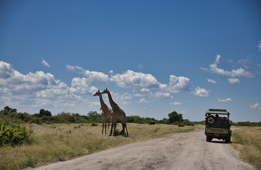 Chobe Nationalpark - Botswana - ipackedmybackpack.de - Reiseblog