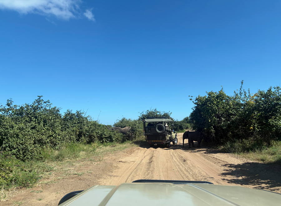 Chobe Nationalpark - Botswana - ipackedmybackpack.de - Reiseblog