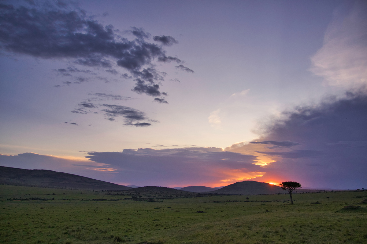 Sonnenuntergang über der Masai Mara – jeden Abend ein neues Farbenspiel.