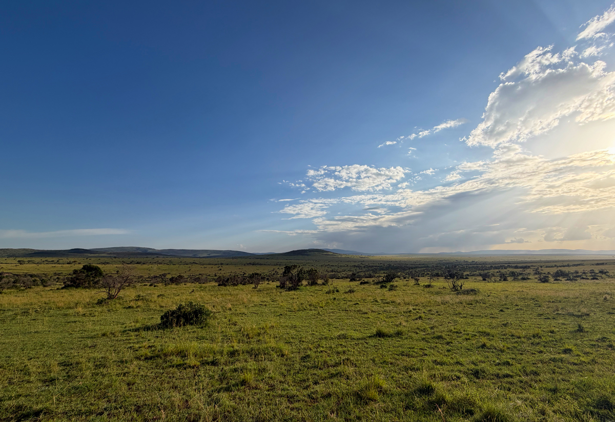 Die scheinbar endlose Savanne der Masai Mara.