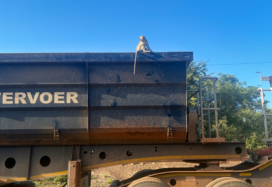Victoria Falls - Simbabwe - ipackedmybackpack.de - Reiseblog