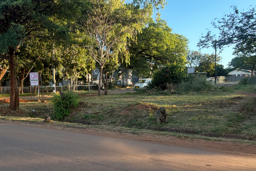 Victoria Falls - Simbabwe - ipackedmybackpack.de - Reiseblog