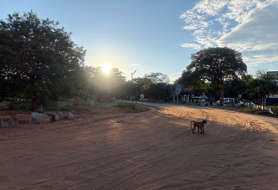 Victoria Falls - Simbabwe - ipackedmybackpack.de - Reiseblog