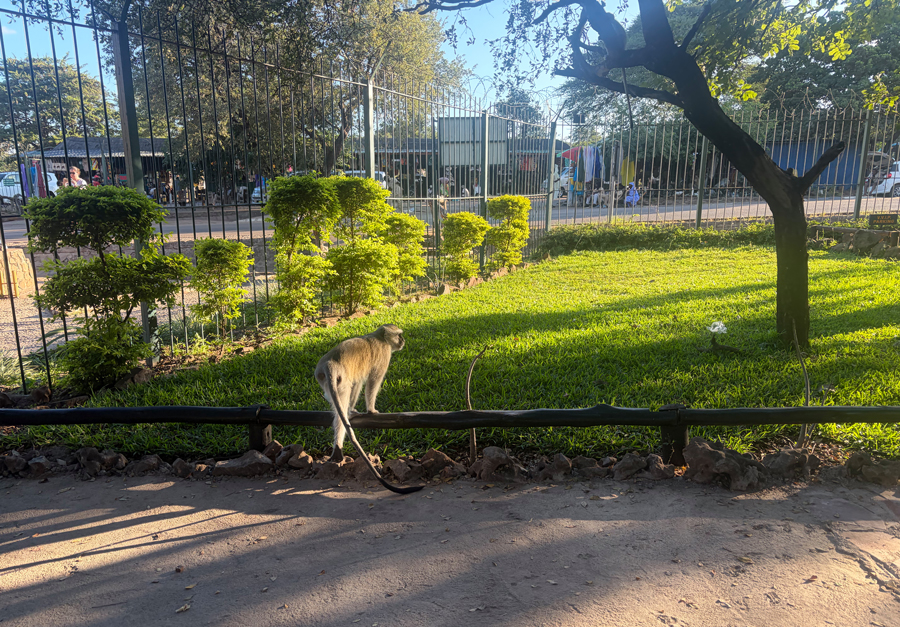 Victoria Falls - Simbabwe - ipackedmybackpack.de - Reiseblog