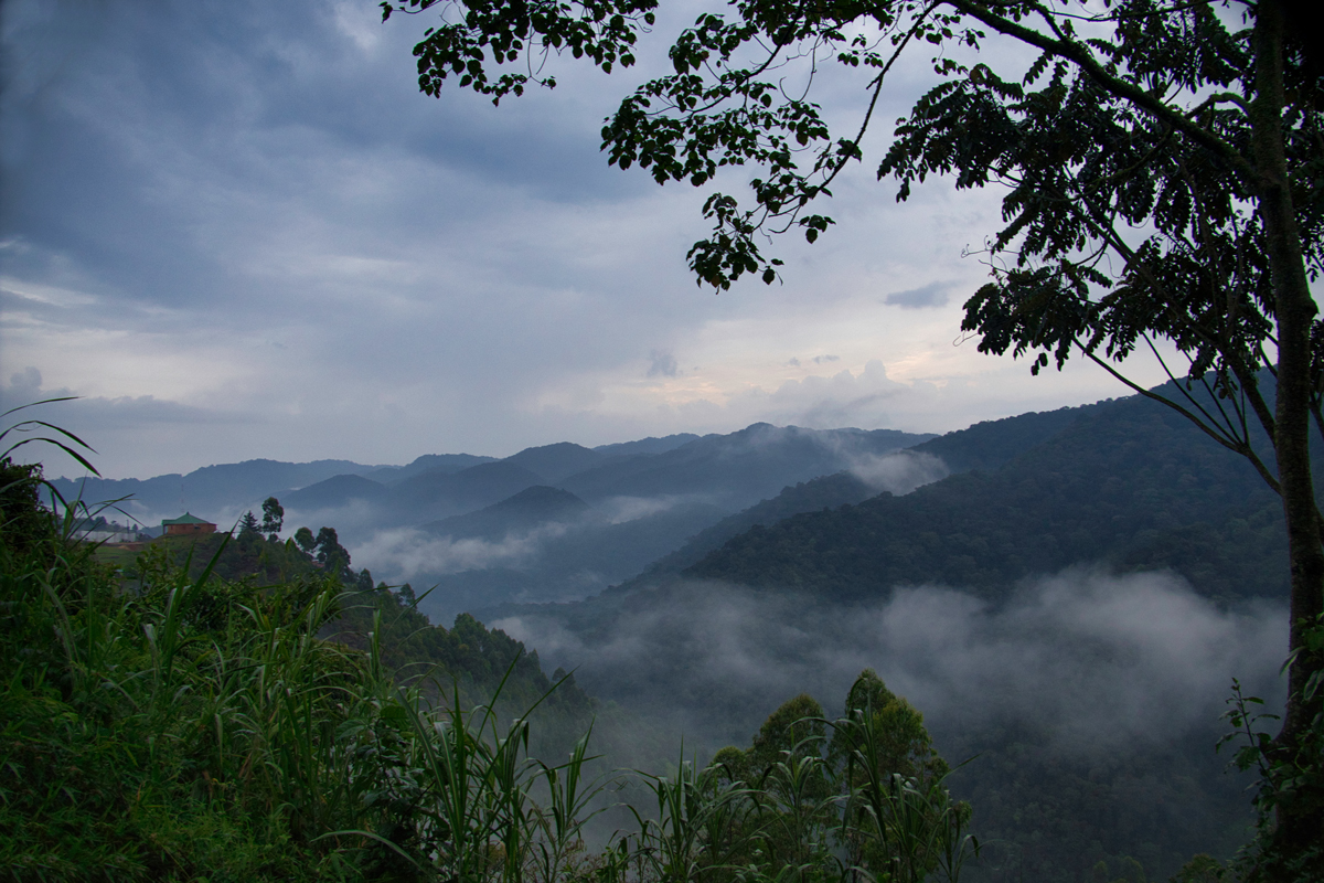 Nebelschwaden ziehen durch die Berge des Bwindi-Regenwaldes.