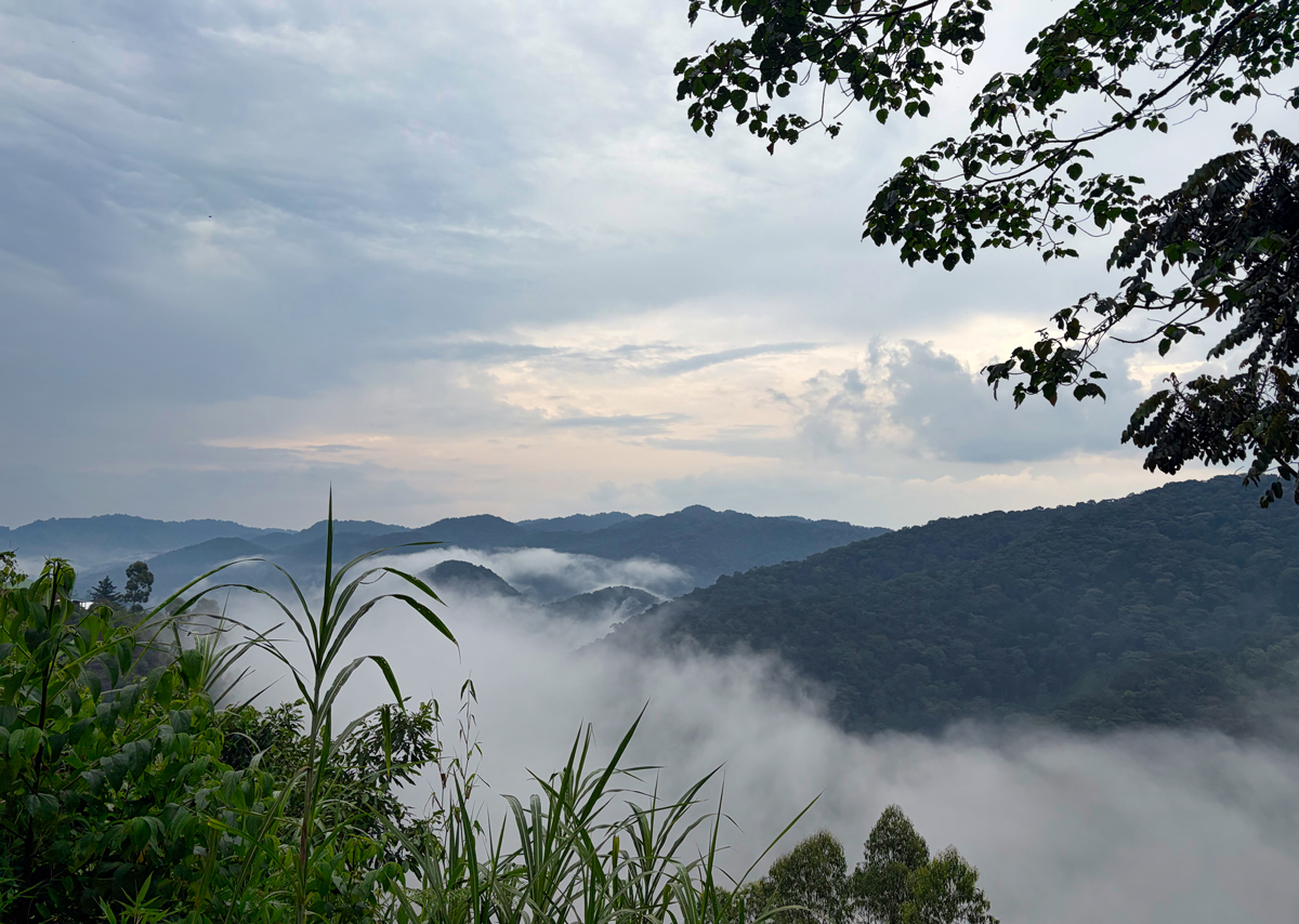 Bwindi Impenetrable National Park - Uganda - ipackedmybackpack.de - Reiseblog