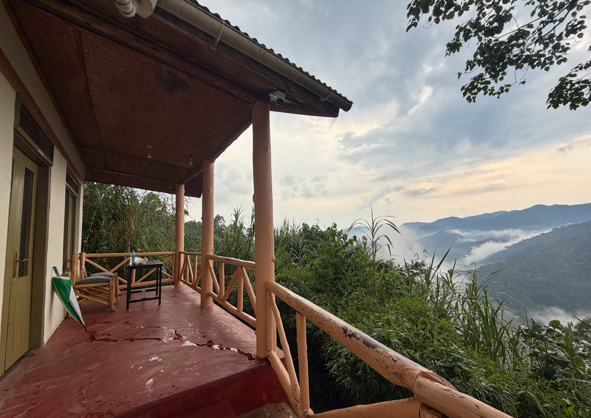 Von meiner Terrasse konnte ich stundenlang auf den Regenwald blicken.
