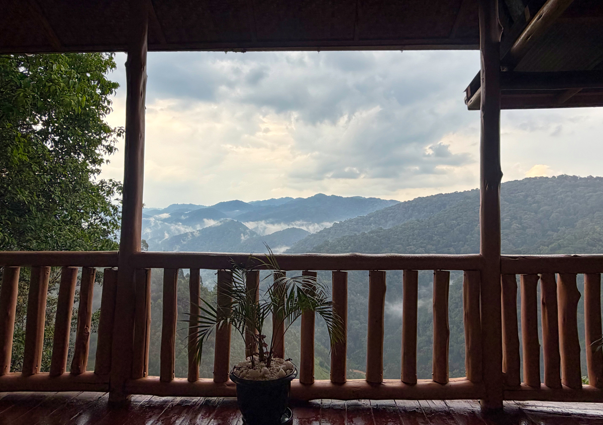 Die Havens Lodge liegt mitten in den grünen Hügeln des Bwindi Nationalparks.