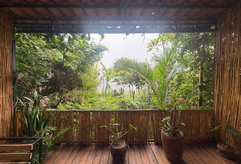 Mein persönlicher Lieblingsplatz in der Eagle View Lodge: Mein eigener Balkon.